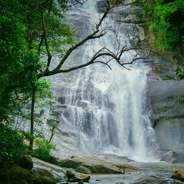 Thusharagiri Waterfalls