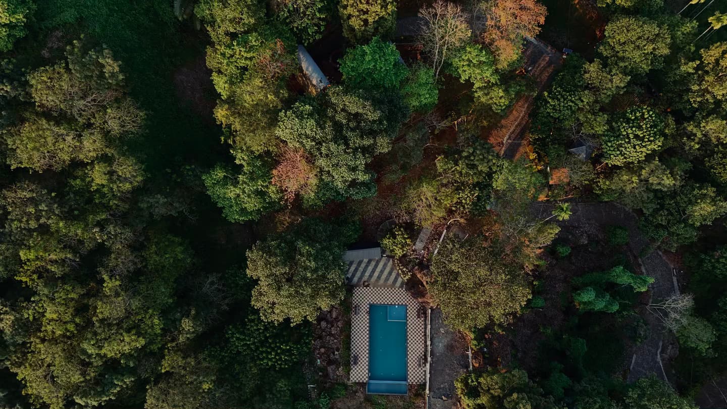 In the heart of jungle