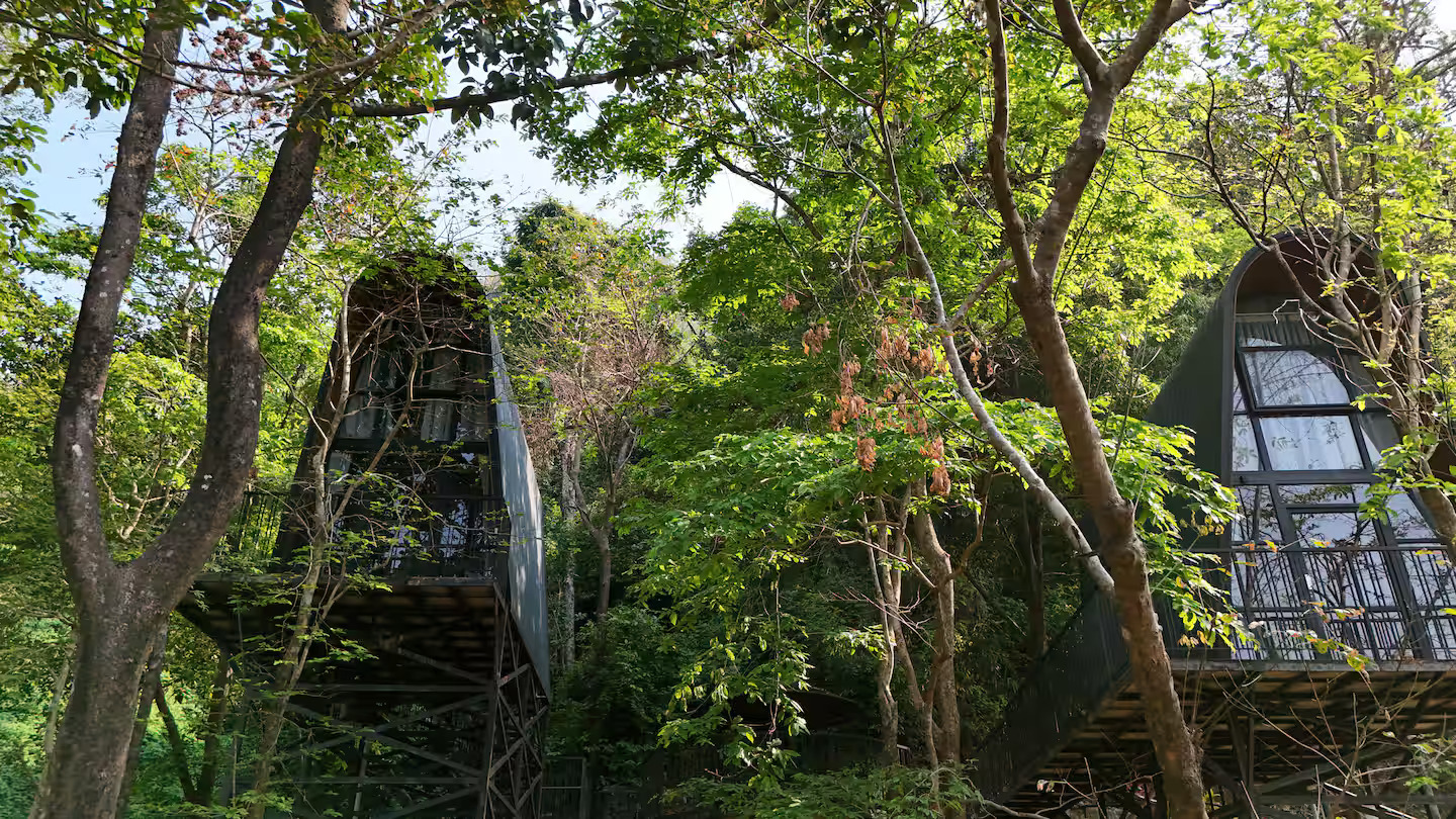 Twin Pines Cabin 2 Exterior view 1